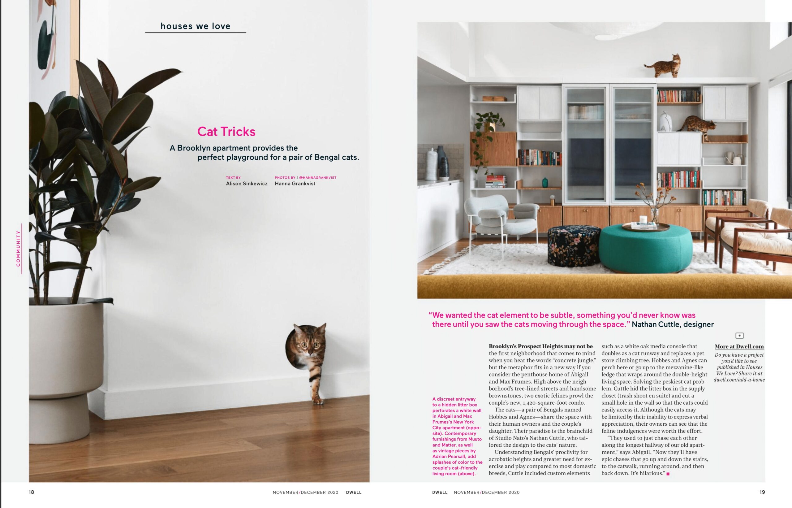 A couple’s condo in Prospect Heights features feline-friendly amenities